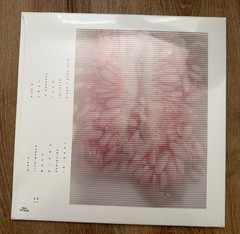 LOOK OUTSIDE YOUR WINDOW SEALED limited edition LP Splatter Vinyl RSD