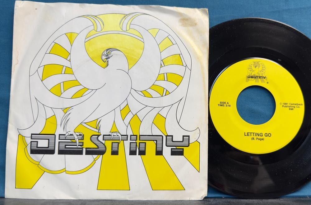 DESTINY LETTING GO/ CRY NO MORE~NM-1981 PHX AZ PRIVATE LABEL ROCK PICTURE SLEEVE