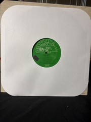 LONNIE BROOKS ”Hot Shot” Vinyl LP