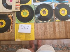 MIXED LOT of 12 Children’s 45rpm Vintage RECORDs SHOW N TELL & PETER PAN see PIC
