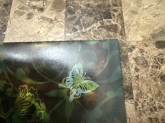 Taylor Swift Debut/Self-Titled 2 LP Vinyl Record