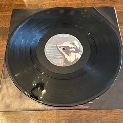 Scorpions Savage Amusement Vinyl Record (two Vinyl Copies See Notes)