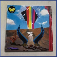 Teenage Wrist – Still Love LP On Vinyl Alternative Rock In Gatefold Cover
