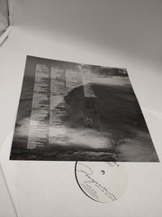 Justin Bieber – Purpose – 12″ Double Vinyl Record LP