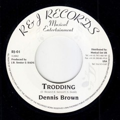Dennis Brown / Mikey Jarrett & Castro Pink – Trodding / Clean Living (7″) (Near