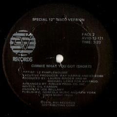 LE PAMPLEMOUSSE Gimmie What You Got 1976 Funk Soul AVI Records AVID-12-12 (DJ)