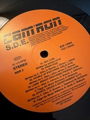 RARE CAM’RON S.D.E. 2xLP Hip Hop 2000 Original Press DOUBLE Vinyl 🔥🔥🔥 VG