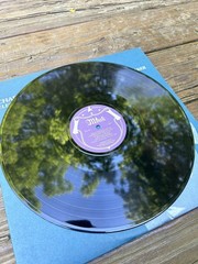 2x LP Lot – Charley Patton: Electrically Recorded Volume 1 & 2 Monk Delta Blues
