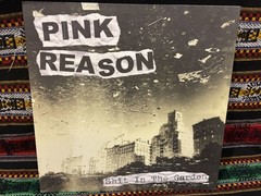 PINK REASON Shit In The Garden 12″ vinyl LP experimental lo-fi post punk 2011