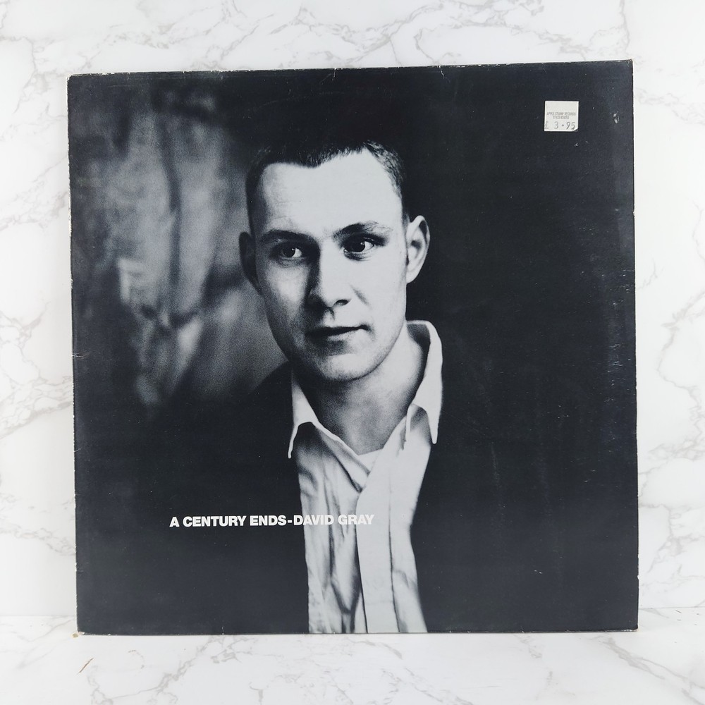 David Gray – A Century Ends 12″ Vinyl Album LP 1993 EX