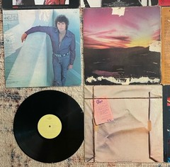 Vintage Vinyl Record Lot of 17 LPs – 70s 80s Rock Pop Soul Country Doors Summer