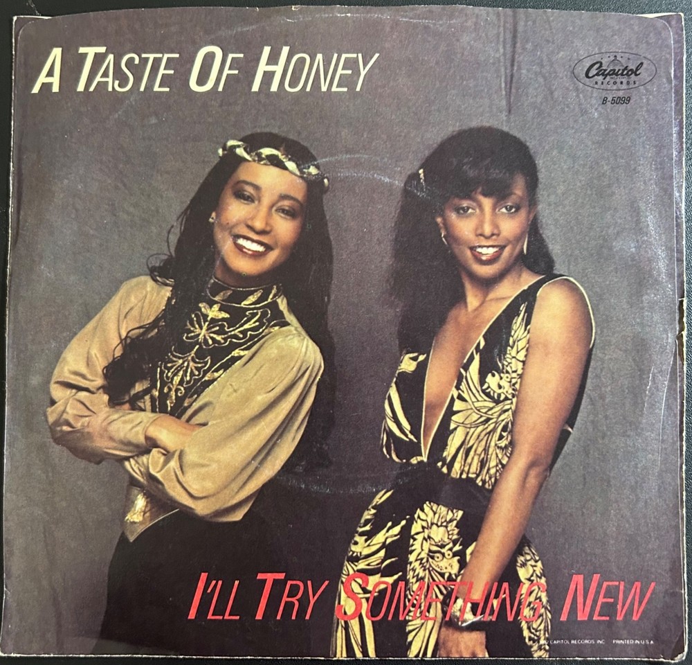 7-inch Hard-to-Find Picture Sleeves: T THROUGH Z – SLEEVES ONLY – NO RECORDS