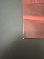 2021 Split Single- Amplificado Vinyl Inside out Records IO0003 Mint