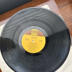 Marvin Gaye ‘I Want You’ Vinyl Record