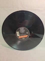 Crystal Waters Surprise, 12″ Vinyl Record Mercury