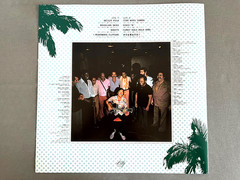 Masayoshi Takanaka/Brasilian Skies LP Japan UPJY9509 w/Obi New Color Vinyl