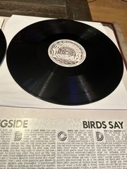Darlingside – Birds Say (Vinyl 2LP – 2017 – EU – Original) RARE Autographed, NM