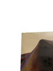 AGNES Beautiful Madness SEALED NEW Transparent Milky Clear Vinyl LP 2026 Import