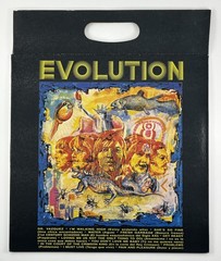 Evolution Vinyl Record Prog Rock Psych LP Wah-Wah 1971 2000’s Reissue