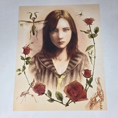Rule of Rose Vinyl LP Record Soundtrack VGM OST Playstation 2 PS2 Not Moonshake
