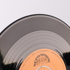 Vodomilové – Řidič Má Tvrdý Chléb / Co Bych Si Přál 45rpm Record 0 43 1563 Czech