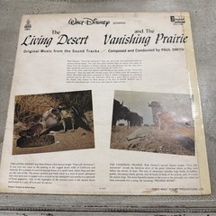Walt Disney The Living Desert 12” Vinyl LP, 1970 Disneyland Records, DQ 1198
