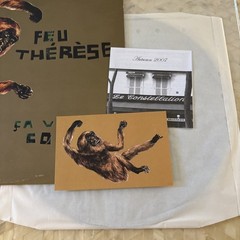 FEU THERESE – CA VA COGNER – VINYL – LP Record – Constellation Records