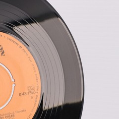 Vodomilové – Řidič Má Tvrdý Chléb / Co Bych Si Přál 45rpm Record 0 43 1563 Czech