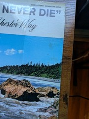 The Music Of Chester Way – Our Love Will Never Die Rare Private Lounge Pop Rock