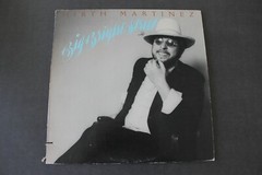 HIRTH MARTINEZ — BIG BRIGHT STREET — WB RECORDS — BS 3031 — RELEASED XXXX
