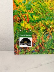 NEW SEALED VINYL – JHENE AIKO – TRIP – RSD 2026 PICTURE DISC EXCLUSIVE 2LP