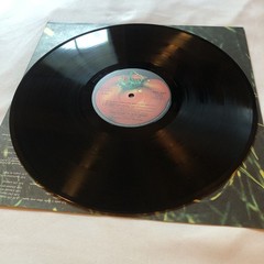 Experimental Prog Rock Italian Psych Banco “Di Terra” LP Original Press IMPORT