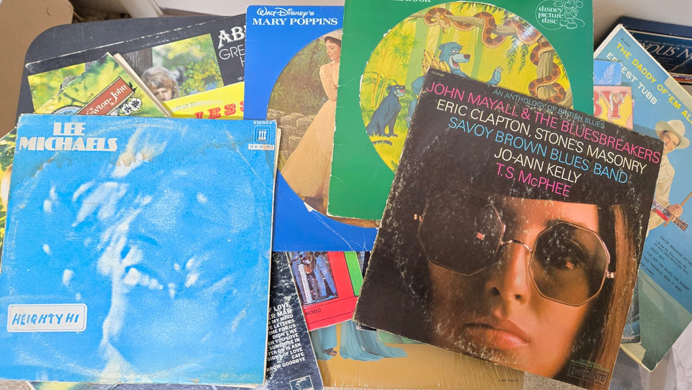Lot of 15 Mystery Bulk Grab Bag Vintage Vinyl LP Records Mixed Genres