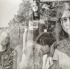 Nirvana – Bleach (LP, Album, RE, RM) (Mint (M)) – 4248707685