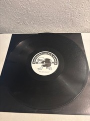 CAMELLE HINDS CLOSER TO THE SOURCE REMIXES 2003 12″ UK VINYL SLD 001 DEEP HOUSE