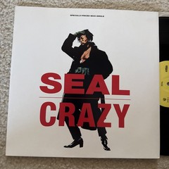 SEAL CRAZY SPARKLE SIRE RECORDS ORIGINAL PRESSING William Orbit Mix 1990 Zzt