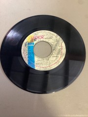 Sanchez / Lady G / Krystal – Half My Age / Twice My Age (7″) Good Condition