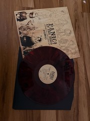 Panic! at the Disco Demos Vinyl