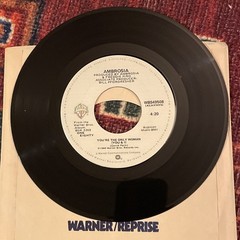AMBROSIA – YOU’RE THE ONLY WOMAN 45RPM Yacht Rock