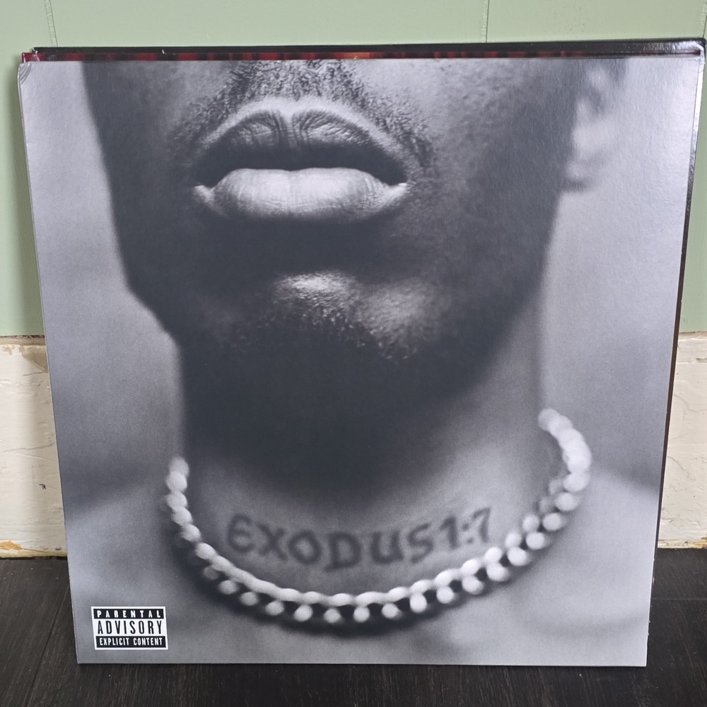 DMX Exodus LP Vinyl Parental Advisory Def Jam Recordings Rap Hip Hop 2020s