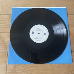 Look Blue Go Purple Vinyl LP Still Bewitched Flying Nun Records