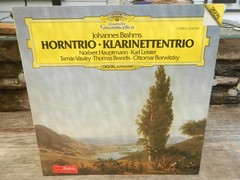 BRAHMS HORNTRIO KLARINETTENTRIO 1983 DEUTSCHE GRAMMOPHON VINYL LP 2532 097