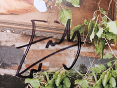 The Last Dinner Party – Prelude To Ecstasy & 10″ handsigned card. Smokey vinyl