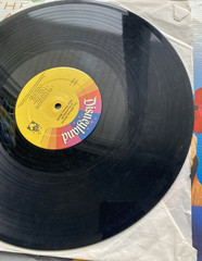 The Official Album Of Disneyland / Walt Disney World Vinyl