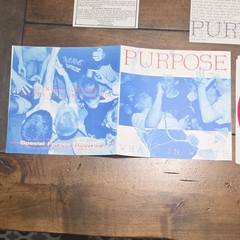 PURPOSE What’s In Worth 7″ RED VINYL Limited #126/200 NJHC Special Forces 1997