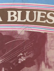 Hula Blues Vintage Steel Guitar Instrumentals Vinyl 1930s 1940s Double Records