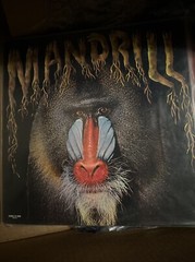 MANDRILL Self Titled LP 971 Polydor Records 24-4050 Vinyl NM Jazz rock