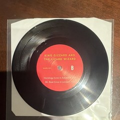 KG&LW Teenage Gizzard We Are Busy Bodies Pink Swirl Vinyl W/ Hidden 7” /1000