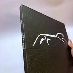 XTC – English Settlement 2LP + CD DELUXE EDITION Box Set – 200g NM Vinyl (2016)