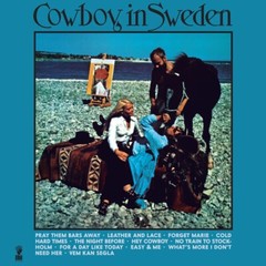 Lee Hazlewood Cowboy in Sweden Deluxe Edition 2x Vinyl LP Record! & Book! NEW bl